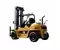Превью CAT DP100NH